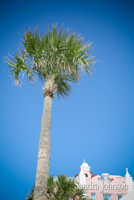 Best Don Cesar Wedding photographer - Sandra Johnson (SJFoto.com)